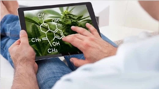 cannabis training online
