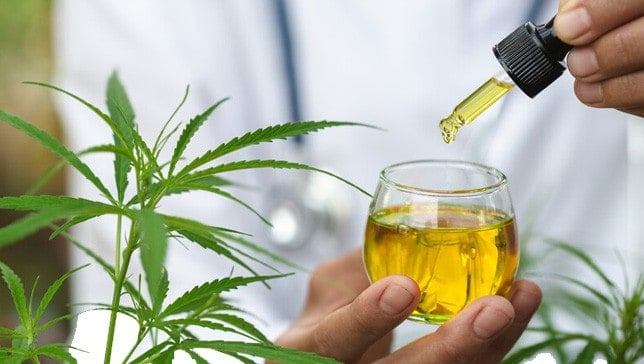 cannabis extractions certification course